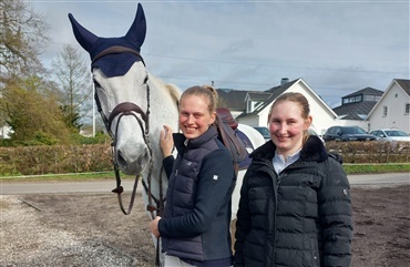 P&aring;skefest er lig med hest