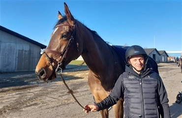 OL-militaryrytter ogs&aring; som hingsteholder og avler