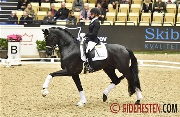 Iron topper svensk unghingsteindeks