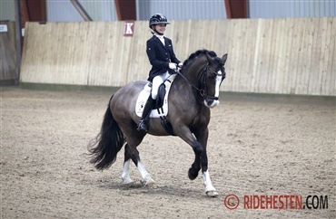 Vejle tog p&aelig;nt afsked med ponyrytterne