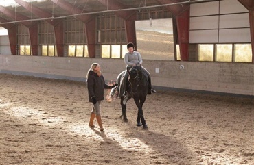 Blog: 6 tips til at g&oslash;re den stive hest bl&oslash;d og smidig at ride p&aring;