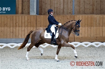 &Aring;rets f&oslash;rste landsst&aelig;vne er i gang