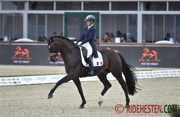 Sir Donnerhall II: Fra skade til et &aring;rti blandt verdenseliten