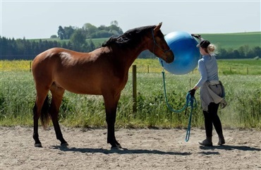 – Han s&oslash;ger altid at g&oslash;re det rigtige