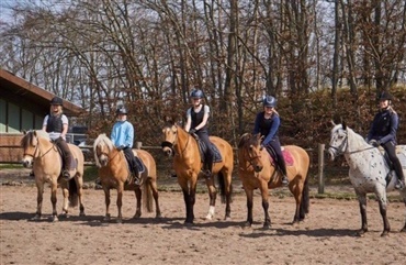 Holte Rideklub har fokus p&aring; hestevelf&aelig;rd og alsidighed