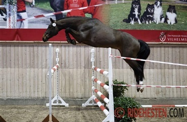 L&oslash;sspringningstr&aelig;ning p&aring; s&oslash;ndag