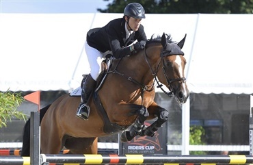 DV-hest med OL-udsigter for Sverige