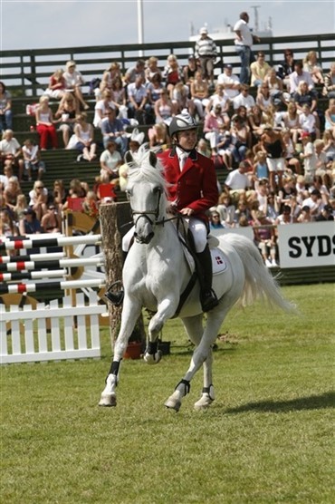 Dansk ponyrytter i omspringning