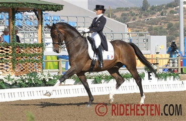 Den franske OL-hest Calimucho blev 29 &aring;r