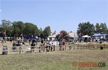 D4 HorseShow klar til endnu en sommerfest