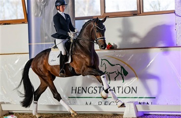 Be Proud – en ny dansk stjerne?