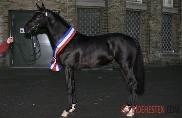 Danskavlede Diarado topper verdensranglisten