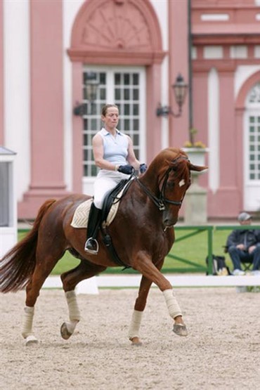 Werth: Danskerne har medaljechance