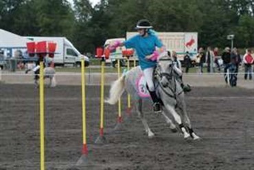 Afslutningen af Landsfinalerne