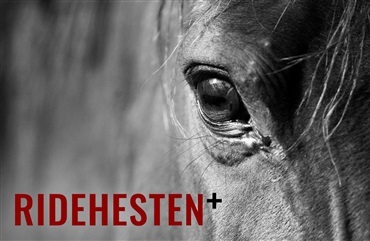 Guide til Ridehesten PLUS