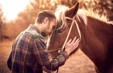 Heste som terapi