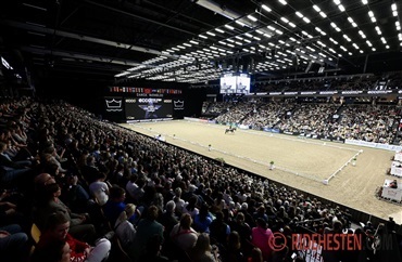 Info om Dansk Varmblods Hingstek&aring;ring 2026