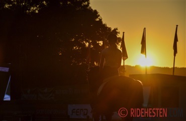 Hestens biomekanik og ridningens indvirkning