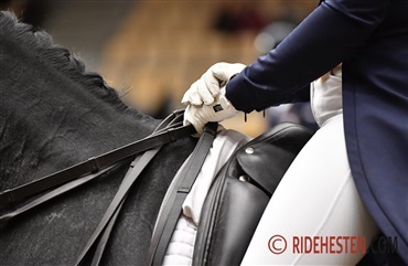 Har du set de ledige udvalgsposter?