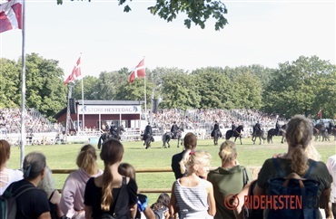 Store Hestedag udvider