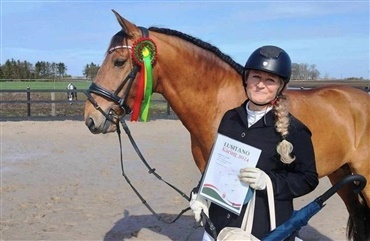 Rekordstor Lusitano-k&aring;ring venter