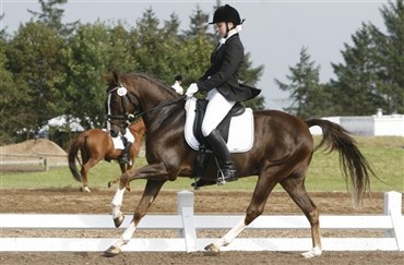 Youth Dressage Festival