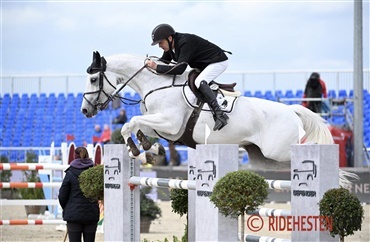 S&oslash;ren Pedersen 3'er i 150 cm