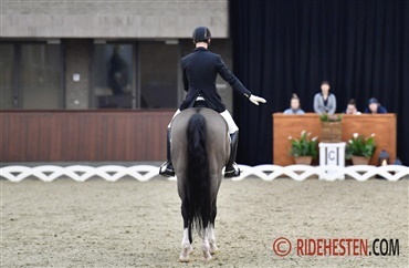 Skal du med til observationssamling?