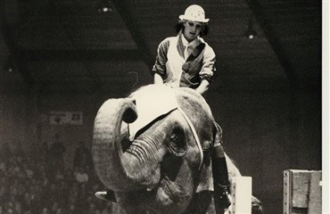 Hvem rider p&aring; elefanten?