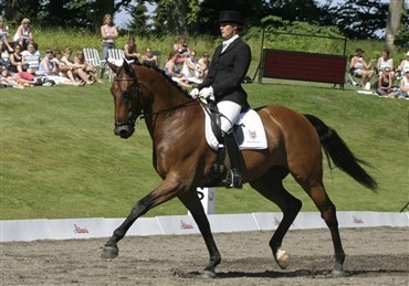 Dansk hest til Anky van Grunsven