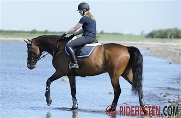 Den atletiske rytter og hest