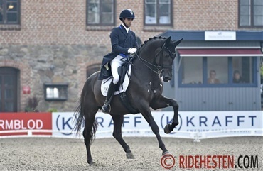 Blue Hors First Choice forbliver i Danmark