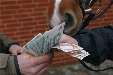 Hestehjemmeside ribber b&oslash;rn for penge