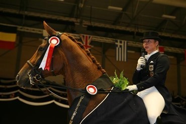 Hannoveraner Avlsforeningen i Danmark er stiftet.