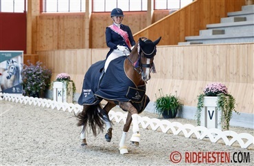Bonsai bedst for tredje &aring;r i tr&aelig;k