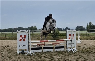 – Han er den st&oslash;rste nussetrold