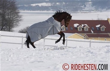 Holder du hesten i form om vinteren?