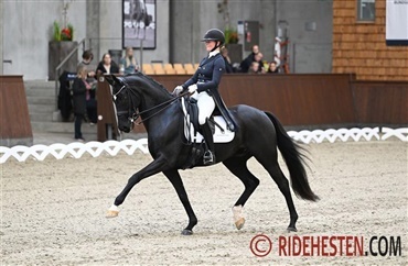 Vallentin Dressage opruster med ny profil