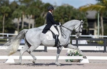 Danske heste i Florida i weekenden