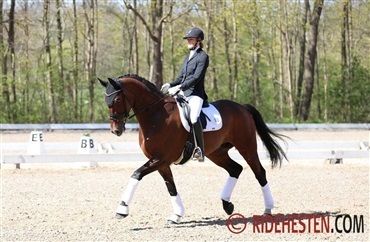 Alsidigt mesterskab hylder den komplette ekvipage