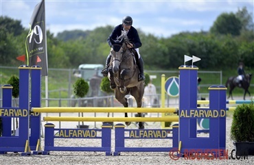 Dansk hest har succes i udlandet
