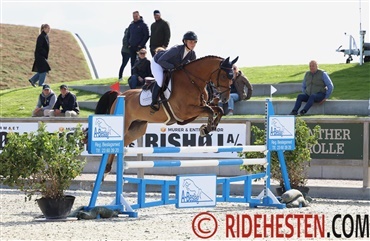 Velspringende 4-&aring;rs heste i finalen