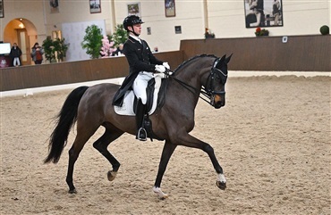 Raphael Netz og NorCordias Solo Diva i GP-debut