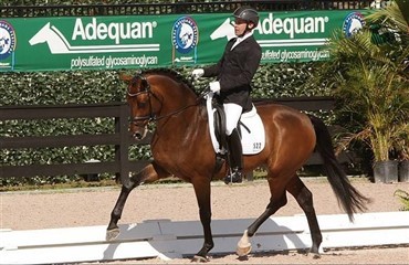 Dansk hest udtaget til UVM i Verden