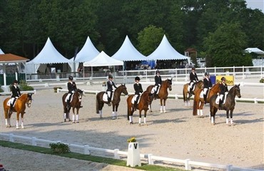 Danske dressurponysucces i Compiegne