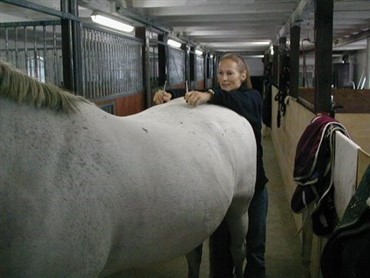 Ny uddannelse til hestefysioterapeut 