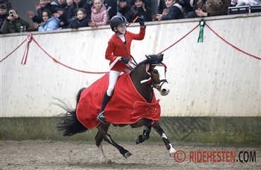 Ponytiden er ikke bare "gak og l&oslash;jer"