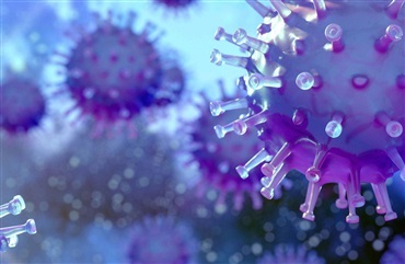 Herpes 4 hos hest p&aring; Vilhelmsborg