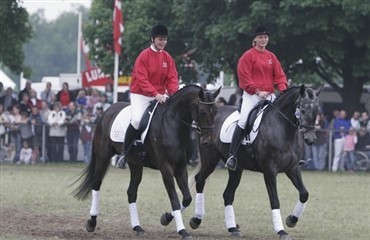 DV p&aring; Roskilde Dyrskue