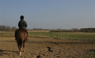 Hest besvimede – rytter h&aring;rdt skadet